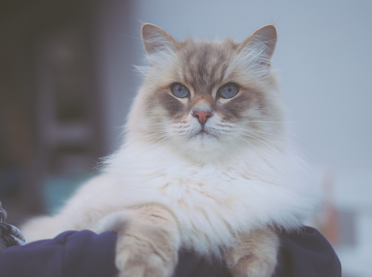 Ein weiteres schönes Foto von Filou