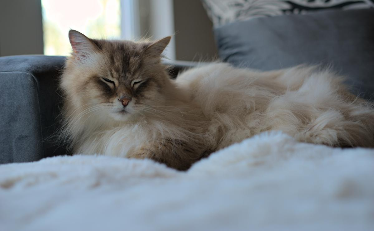 Ein weiteres schönes Foto von Filou