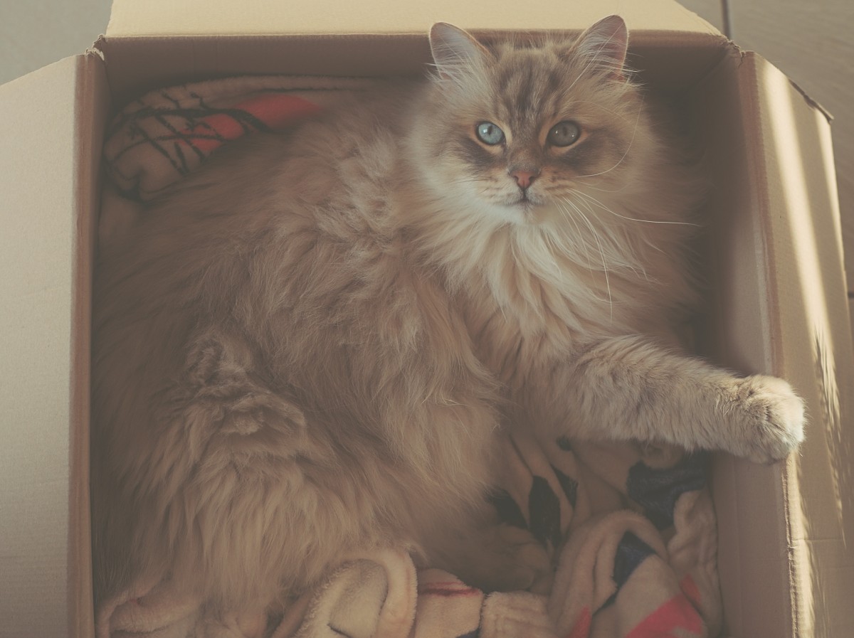 Ein weiteres schönes Foto von Filou