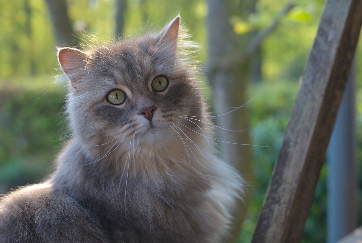 Ein weiteres schönes Foto von Finn