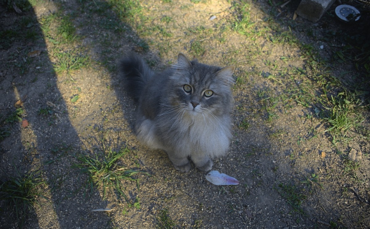 Ein weiteres schönes Foto von Finn